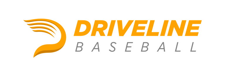 logo-driveline-768x254